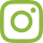 insta_icon
