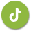 tiktok_icon