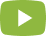 ytube_icon